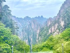 -黄山风景区