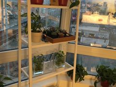 -EnergyCake蛋糕理想国