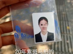 -紫斑马照相馆·生日写真·情侣写真·全家福(恒力城店)