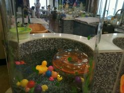 点击看大图 -新寰亚月子会所(金鸡湖凯宾店)