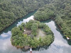 -鼎湖山风景区
