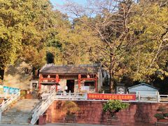 -水濂山森林公园