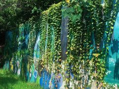 -广州白江湖森林公园