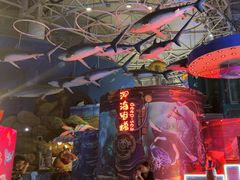 -烟台海昌鲸鲨海洋公园