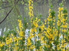 -皇粮浜湿地公园