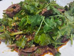 -梁溪河畔·吉府花园(南长街南下塘店)