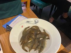 -五星桥原切肥牛火锅(怀德桥店)