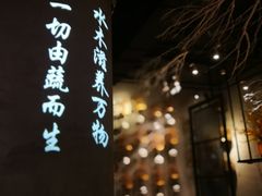 大堂-水木苼 蔬食料理