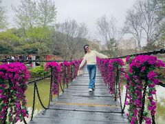 -南汇桃花村