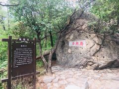 -阳台山自然风景区