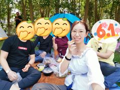 -长白岛森林公园