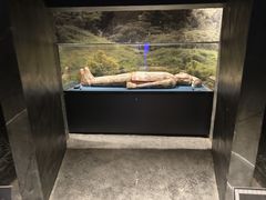 -亳州博物馆