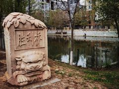 -长白岛森林公园