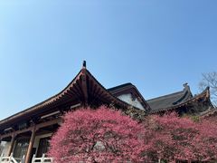 -浙江大学(紫金港校区)