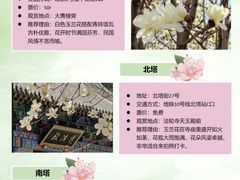 -护国法轮寺