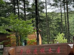 -洛阳白云山景区