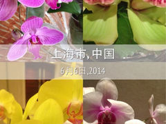iphone_upload_pic-上海中谷小南国花园酒店