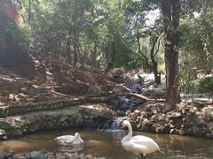 -燕塞湖鸟语林景区