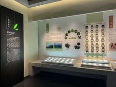 -中国茶叶博物馆(双峰馆区)