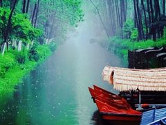 -合肥滨湖国家森林公园