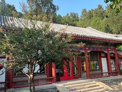 -宫事颐庭·老佛爷贵寿下午茶(颐和园店)