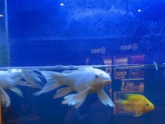 -海底捞大排档火锅(打浦路店)