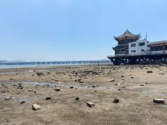 -集美鳌园景区