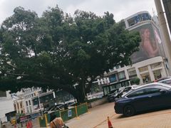 -聚春园自助餐厅(东街口店)