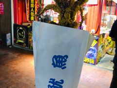 -锦江乐园舞狸花花游园会(夜场专享)