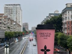 -茉莉奶白(天水秦州万达广场店)