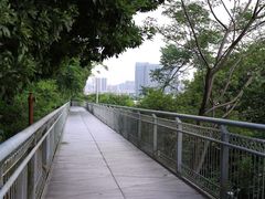 -佛山华盖山公园