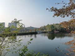 -观山湖公园