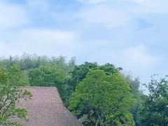 -良渚古城遗址公园