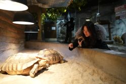 -Zoolung Zoolung动物主题公园(海信广场店)