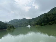 -广州白江湖森林公园