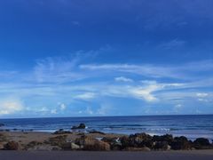 -万里闯关东铁锅炖菜馆(高新旗舰店)