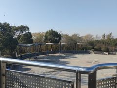 -羊山湖公园