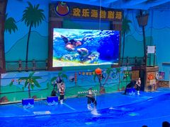 -石家庄极地海洋世界