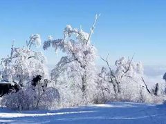 -亚布力新体委滑雪场