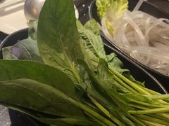 -捞王猪肚鸡火锅(财富中心店)