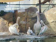 -波塞冬海底世界