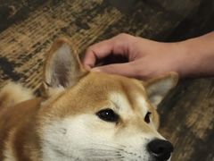 -三目仓咖啡(贤南路店)
