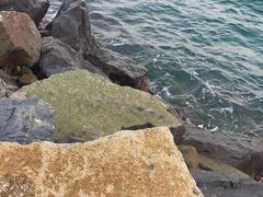 -芽庄MP泰式海鲜海景餐厅