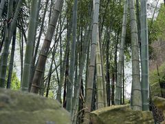 -许家山