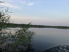 -白洋淀景区
