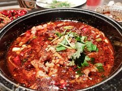 水煮牛肉-苦尽酒馆·川菜(鼓楼店)