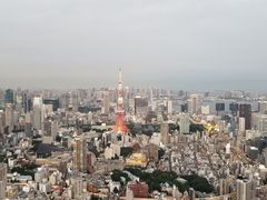 -六本木新城展望台(东京城市景观)