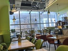 -油梨树AVOCADO TREE(望京店)