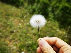 -中国香山·寿香谷