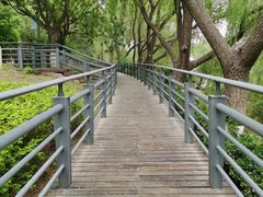 -大兴滨河森林公园